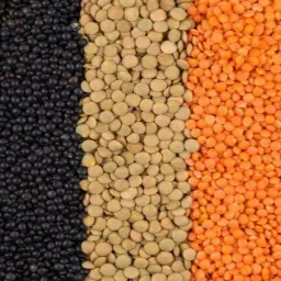 Daal Masoor